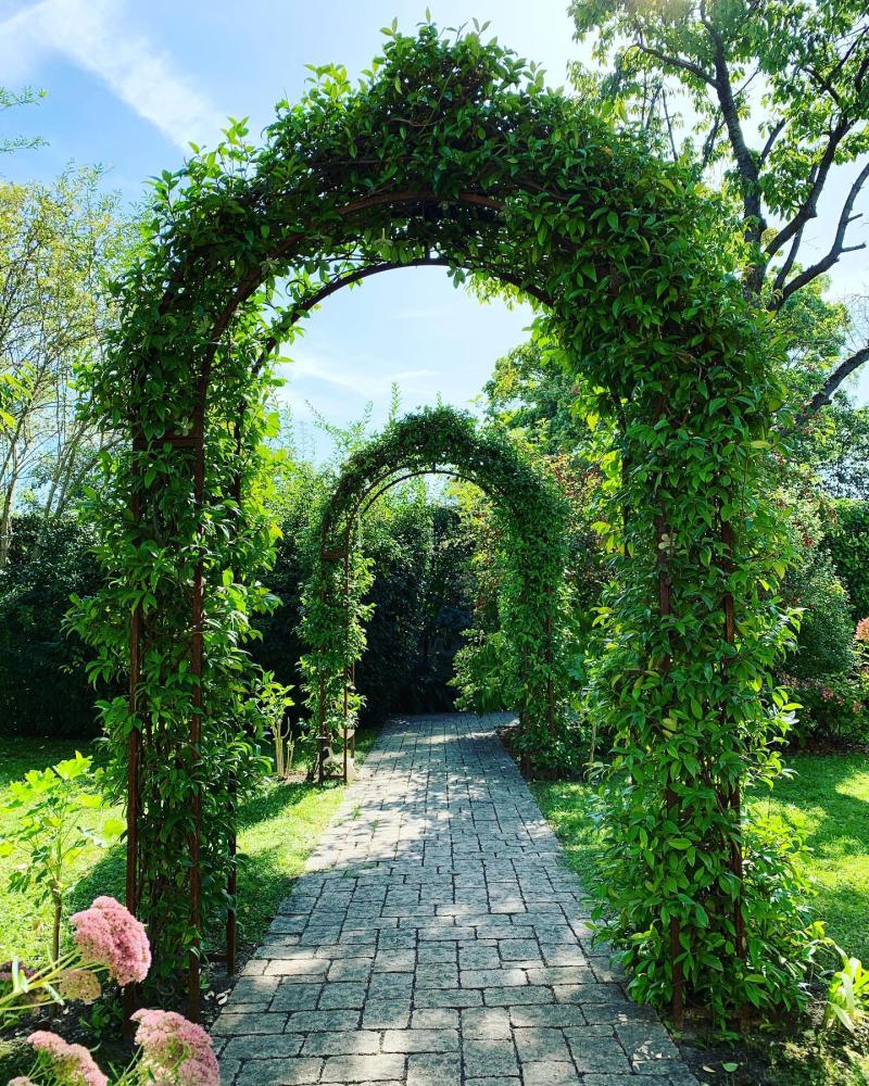 arches feuillus