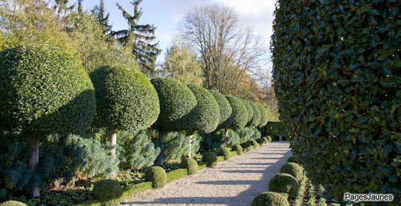 arbres taillés
